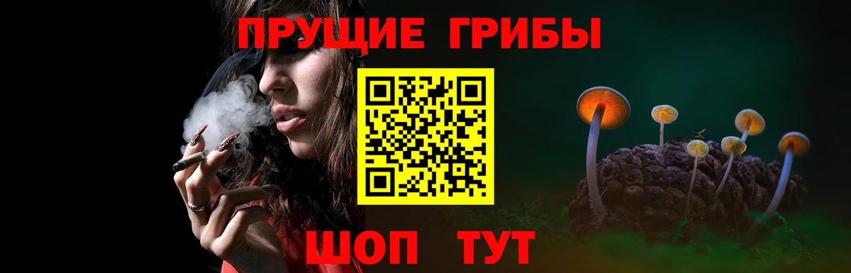 Саратов  хочу наркоту  Вход с VPN  Псилоцибиновые грибы MAGIC MUSHROOMS 